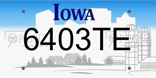 6403TE Iowa License Plate