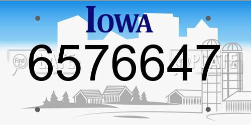 6576647 Iowa License Plate