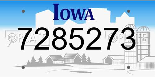 7285273 Iowa License Plate