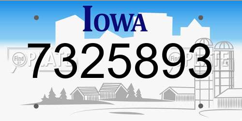 7325893 Iowa License Plate