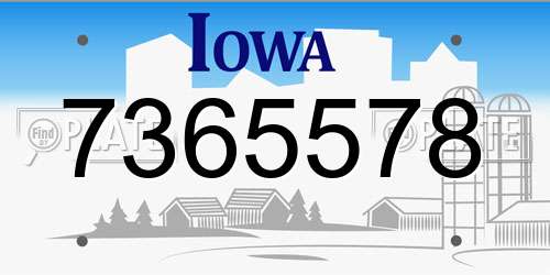 7365578 Iowa License Plate