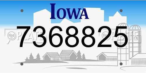 7368825 Iowa License Plate