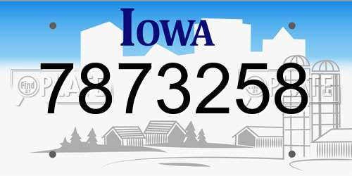 7873258 Iowa License Plate