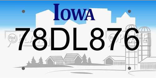 78DL876 Iowa License Plate