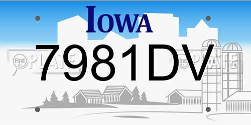 7981DV Iowa License Plate