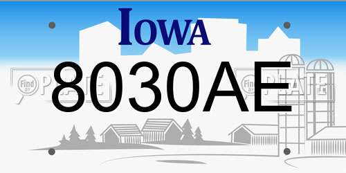 8030AE Iowa License Plate
