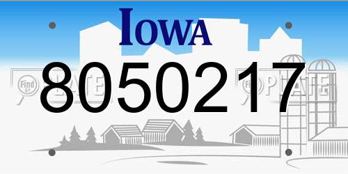 8050217 Iowa License Plate