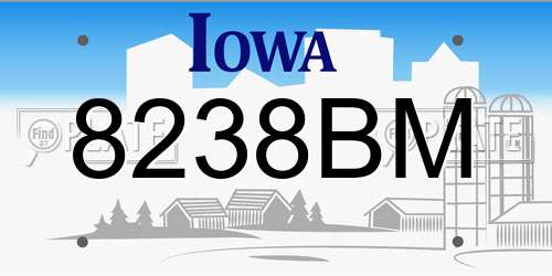 8238BM Iowa License Plate