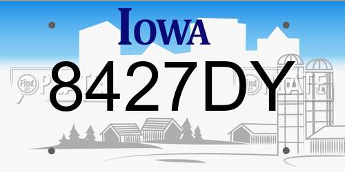 8427DY Iowa License Plate