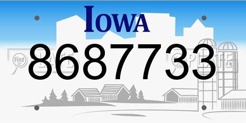 8687733 Iowa License Plate