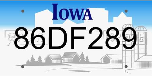 86DF289 Iowa License Plate