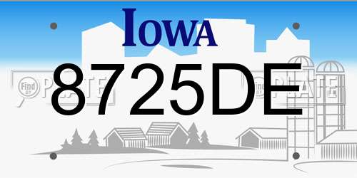 8725DE Iowa License Plate