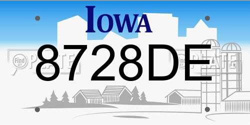 8728DE Iowa License Plate