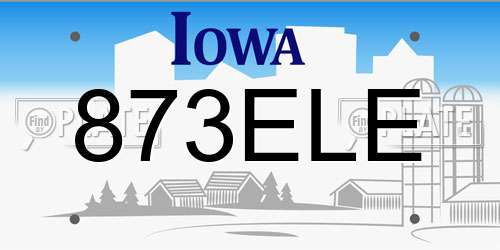 873ELE Iowa License Plate