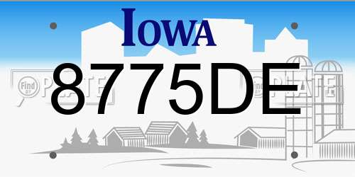 8775DE Iowa License Plate
