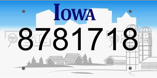 8781718 Iowa License Plate