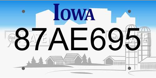 87AE695 Iowa License Plate