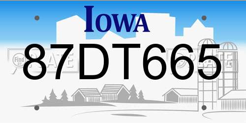 87DT665 Iowa License Plate