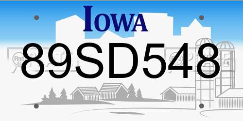 89SD548 Iowa License Plate