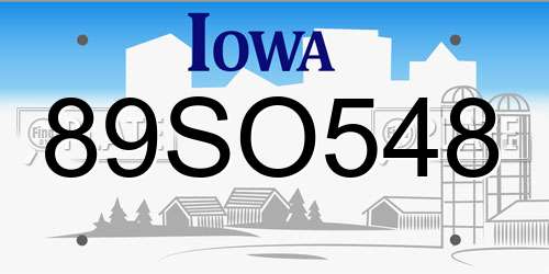 89SO548 Iowa License Plate