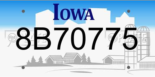 8B70775 Iowa License Plate