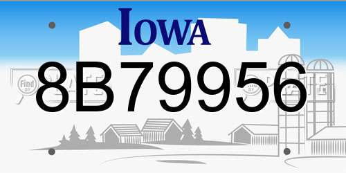 8B79956 Iowa License Plate