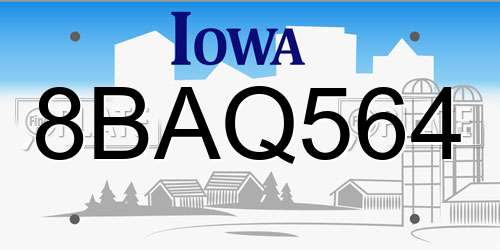 8BAQ564 Iowa License Plate