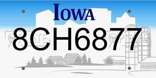 8CH6877 Iowa License Plate