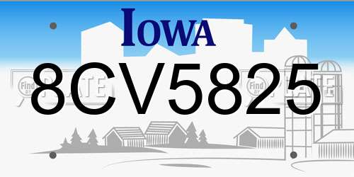 8CV5825 Iowa License Plate