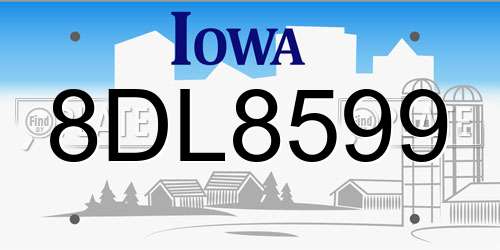8DL8599 Iowa License Plate