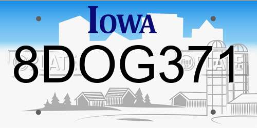 8DOG371 Iowa License Plate