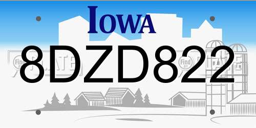 8DZD822 Iowa License Plate