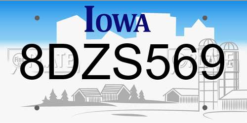 8DZS569 Iowa License Plate