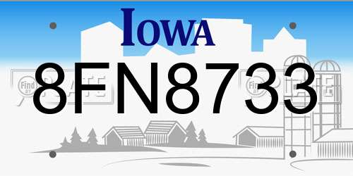 8FN8733 Iowa License Plate