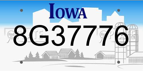 8G37776 Iowa License Plate