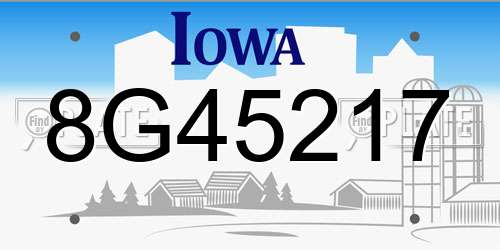 8G45217 Iowa License Plate