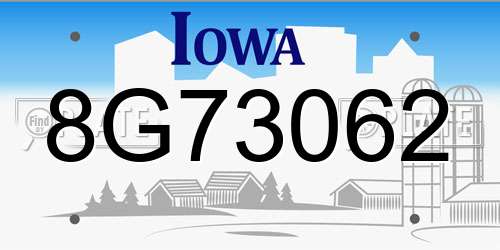 8G73062 Iowa License Plate