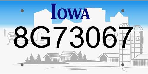 8G73067 Iowa License Plate