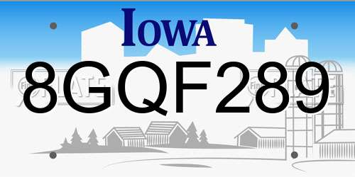 8GQF289 Iowa License Plate