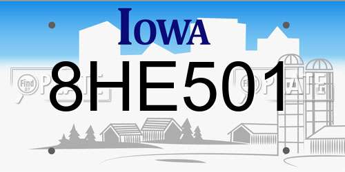 8HE501 Iowa License Plate