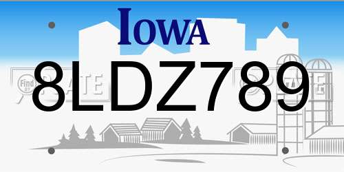 8LDZ789 Iowa License Plate