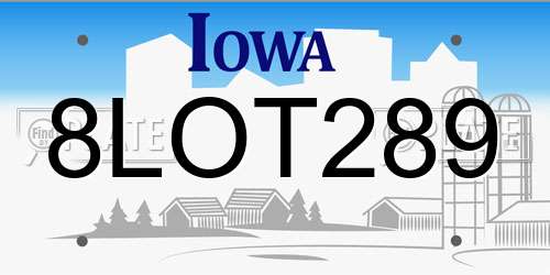 8LOT289 Iowa License Plate