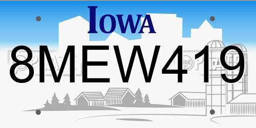 8MEW419 Iowa License Plate