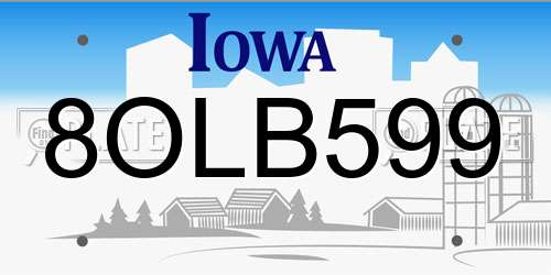 8OLB599 Iowa License Plate