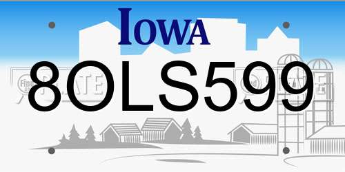 8OLS599 Iowa License Plate