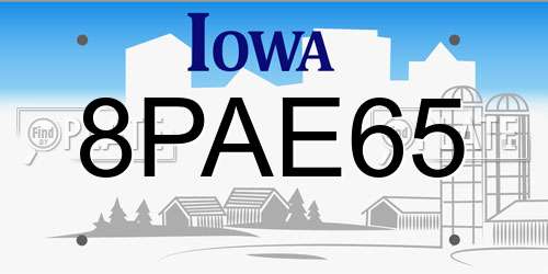 8PAE65 Iowa License Plate