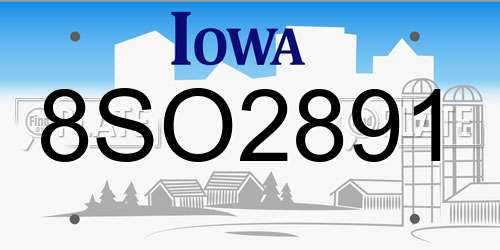 8SO2891 Iowa License Plate