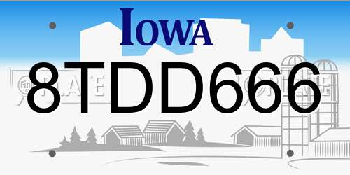 8TDD666 Iowa License Plate