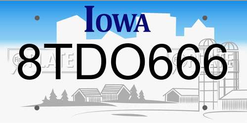 8TDO666 Iowa License Plate
