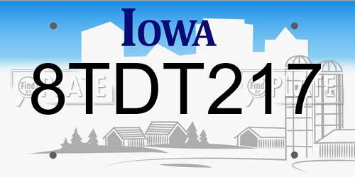 8TDT217 Iowa License Plate
